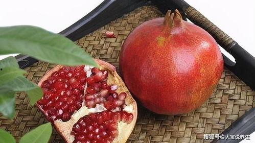 石榴夫妻网红吃瓜图片,趣味横生瞬间捕捉 第1张 石榴夫妻网红吃瓜图片,趣味横生瞬间捕捉 第1张